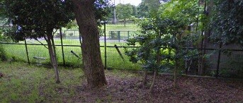 裏の路地の写真3