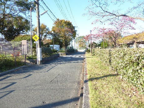 現場前の丁字路から野球グランド側を撮影