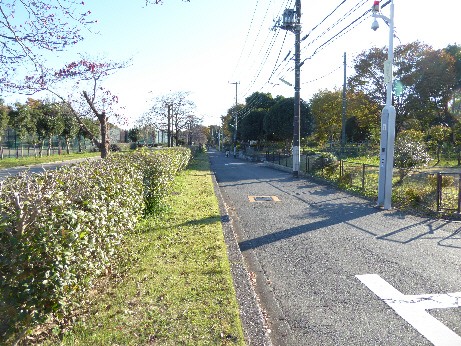 現場前丁字路から公園南側を撮影