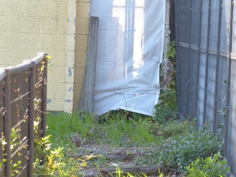 裏の小道の宮澤さん宅の部分を撮影