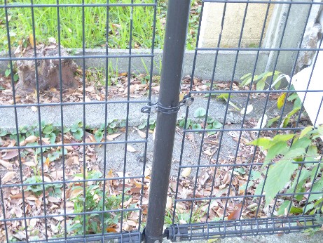 ポッポ公園側から裏の小道を撮影した写真