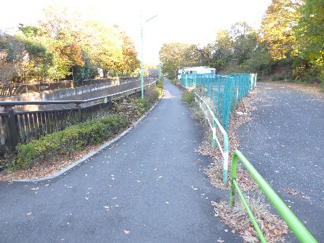 仙川対岸遊歩道の野球グランド側から撮影した写真