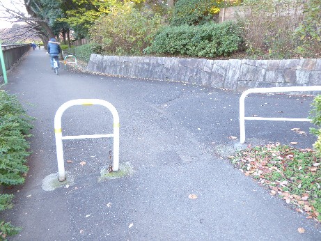 仙川対岸遊歩道の丁字路