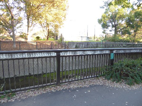 仙川対岸の遊歩道から現場を撮影した写真