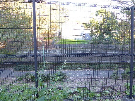 仙川対岸の河岸段丘の上から現場を撮影した写真