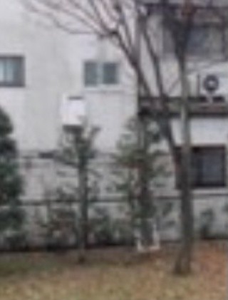 落下した網戸の写真（正面）