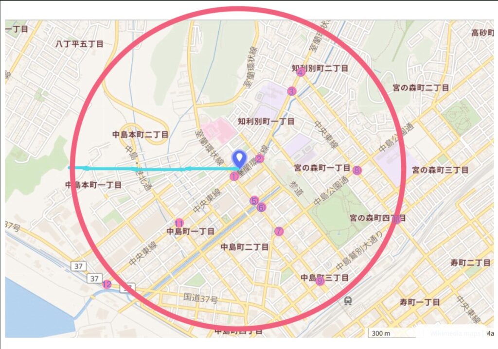 2001年室蘭女子高生不明事件、バス停から1kmの範囲