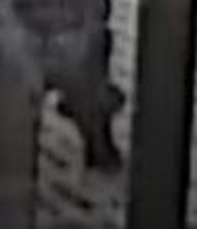 2015年04月21日駅の暴亀映像のズボン2